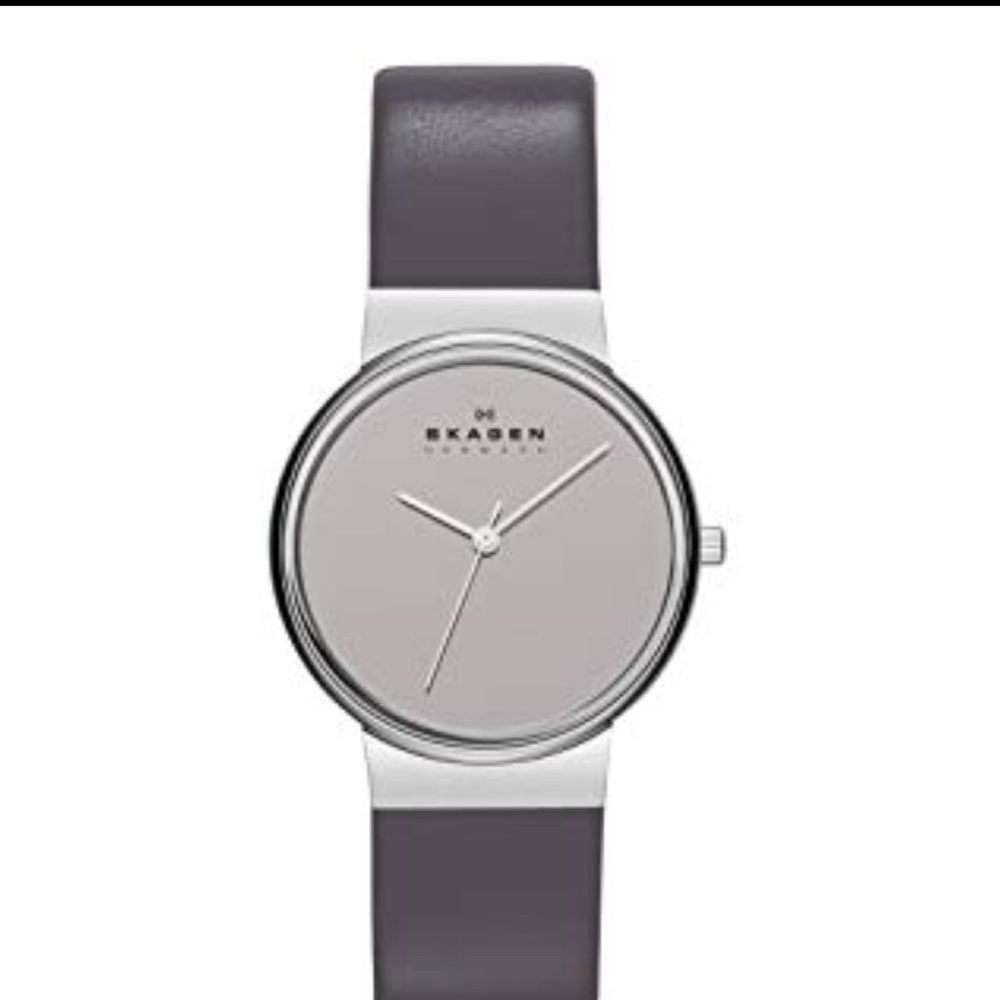 Skagen Silver Grey Watch - Collectors Edition